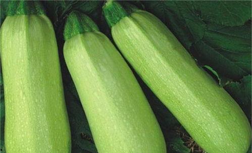 今日吃瓜热门大瓜必看大瓜网红 正能量,网红正能量，今日热门大瓜必看盘点