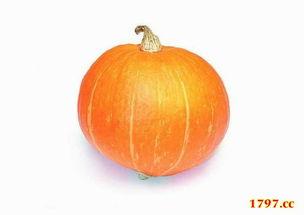 必吃大瓜今日大瓜